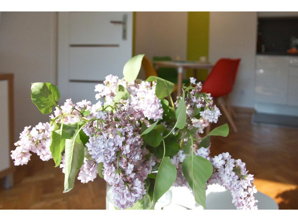 Apartament Nowolipie